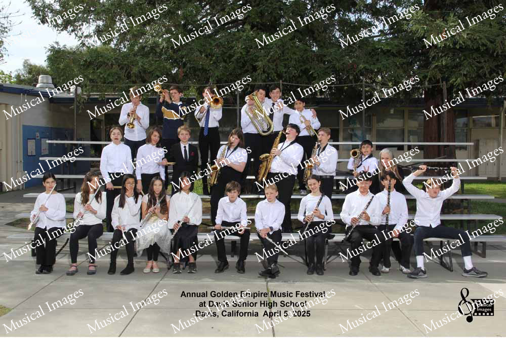 Musical Images